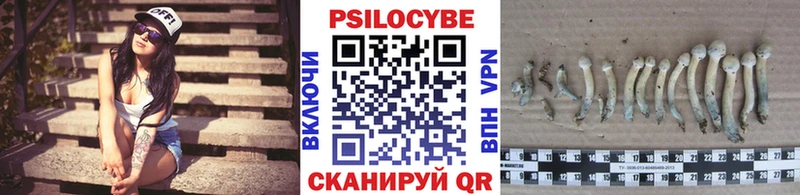 Псилоцибиновые грибы мухоморы Яхрома